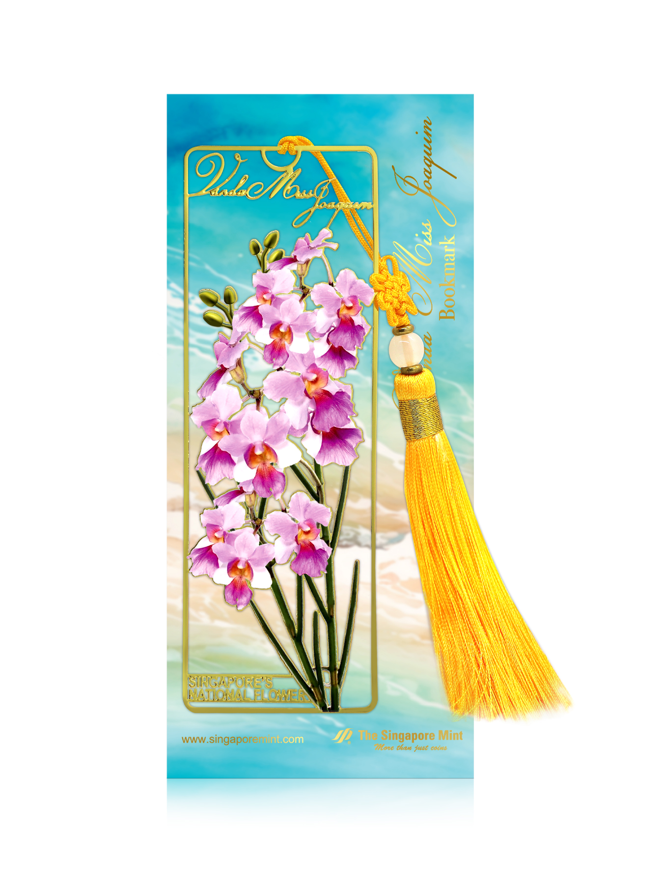 RA10-3-Vanda-Miss-Joaquim-Gold